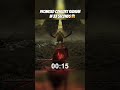 Promised Consort Radahn In 33 Seconds