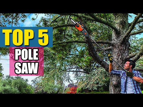 Best Pole Saw in 2020 - Top 5 Pole Saws Reviews - Best Pole Saw On Amazon