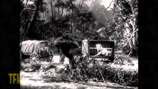 Mighty Joe Young (1949) Video