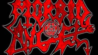 Morbid Angel - Chapel Of Ghouls (with lyrics)
