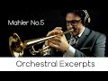 Orchestral Excerpts n.2 " Mahler Symphony No.5 " - Andrea Giuffredi