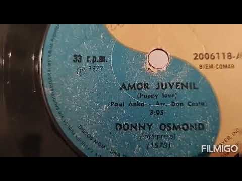 PUPPY LOVE - DANNY OSMOD  (33 RPM VINYL) DE 1972 .