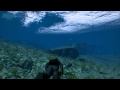 Arma III - Diving Trailer