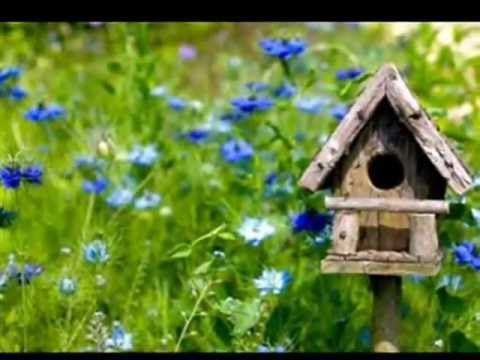 download lagu mp3 mp4 Manassas Lyrics, download lagu Manassas Lyrics gratis, unduh video klip Manassas Lyrics