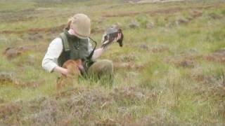 Fieldsports Britain – Grouse over pointers + high pheasants + giant carp funeral – episode 40