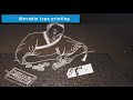 Chinese Movable Type Printing