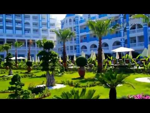 Rubi Platinum Review (Обзор)