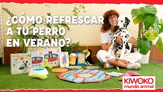 Kiwoko Cómo refrescar a un perro en verano🌞💦 【¡CALOR vs PERRO! 】 anuncio