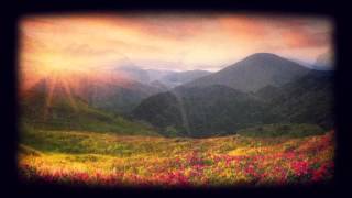 The Sirens - Embracing the Seasons