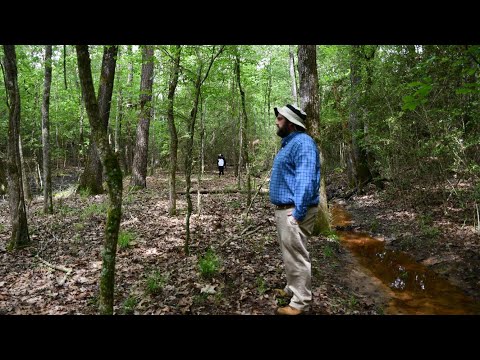 SFA Dendrology Lab - Week 11 (FORS 2319)