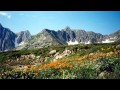 Valley of Flowers National Park Долина Цветов национальный ...