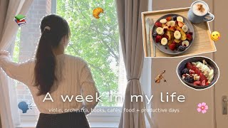 🇩🇪VLOG: オーケストラアカデミー生の1週間🎻 休息を大切にするドイツで心のリセット🌿📚￤ハイツングの謎￤ｶﾙﾁｬｰｼｮｯｸの話🗣️￤食べ物多め🍽️