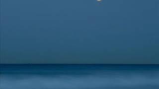 Camera Obscura - Lunar Sea