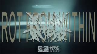Rot From Within - A Night in Texas