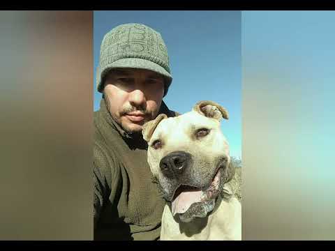 Tiszta Vizet A Pofadba-Nem Kellett Volna (R.I.P. MAD Deli Front MH)Beat by @Beats_Breaks