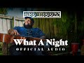 Leo Brooks What A Night Official Audio