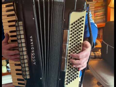 Vintage Excelsior Accordiana Professional Model 911 Piano Accordion w/ Original Case image 26