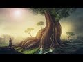 Peaceful Music Relaxing Music Instrumental Music The Legend Of Trees By Tim Janis