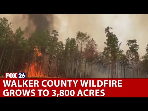 Walker County wildfire grows to 3,800 acres