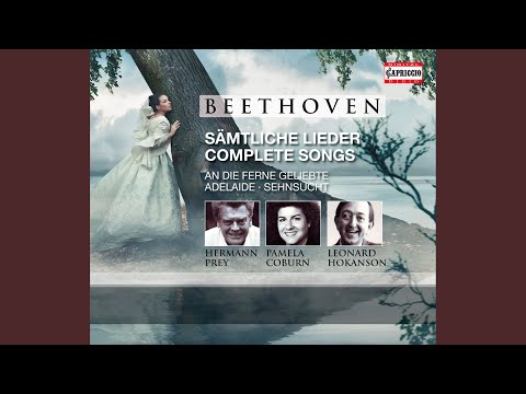 4 Ariettas and a Duet, Op. 82: No. 2. Liebes-Klage