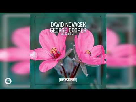 David Novacek & George Cooper - Aguardiente