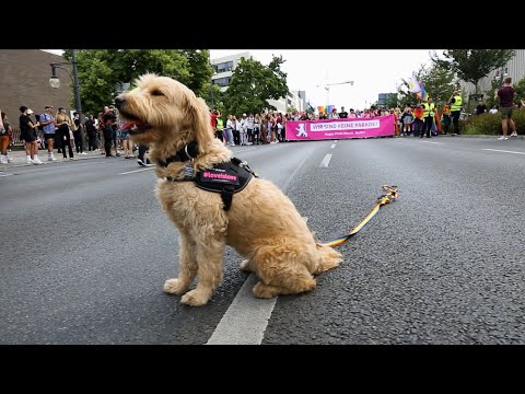 Berlin Pride 2022/ CSD Berlin 2022