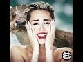 StereoHeroes - Miley Circus (Official Music Video ...