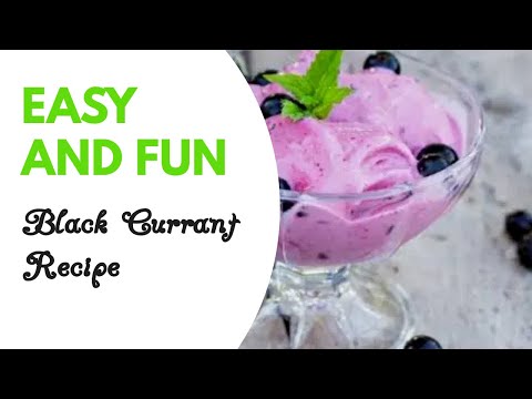 black currant ice cream|| latest update 2024 by yummy recipe cook with Shahina