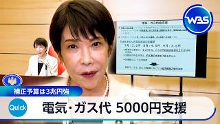 電気･ガス代 5000円支援 補正予算は3兆円強【WBS】