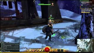 Guild Wars 2 Fast Ferocity Tutorial