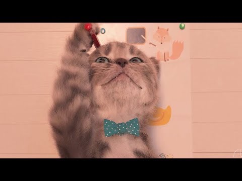 Lindo Gatito Preescolar - Mi Mascota Aventuras Dibujos Animados Infantiles