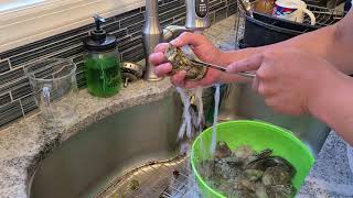 Shucking Oysters with a flat head and butter knife