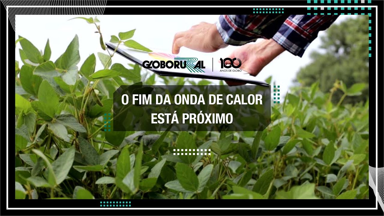 O fim da onda de calor está próximo | Globo Rural