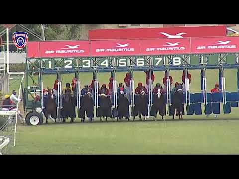 RM13 R6 - The Great One(D.Stackhouse)