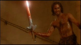 The Sword and the Sorcerer (1982) Video