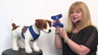 Gooby Freedom Dog Harness II - Blue