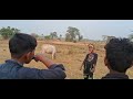 New Video Rangdari Wala Dhobana Team
