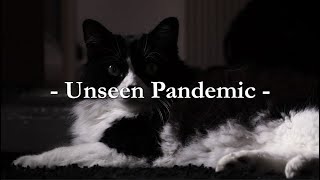 Unseen Pandemic