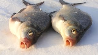 Зимняя рыбалка мормышки для леща