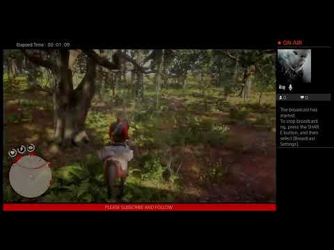 MASTER HUNTER CHALLENGE #10-RED DEAD REDEMPTION 2