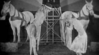 Gotan Project -Triptico