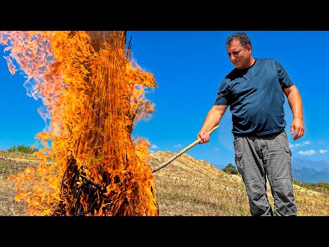 Fresh Catch Fried Over Fire π₯π β Rustic Fish Recipe from the Wild!