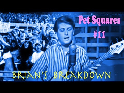PET SQUARES #11 - Brian's Breakdown (Geek's Guide to the Beach Boys)