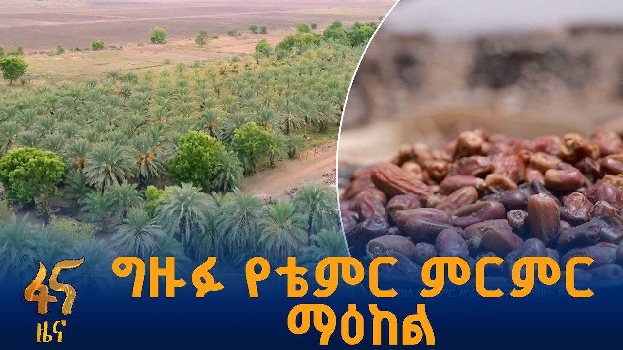 በሰመራ ዩኒቨርሲቲ እየተገነባ የሚገኝ ምርምር ማዕከል