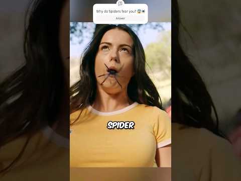 Antares Movies and Antares Recap