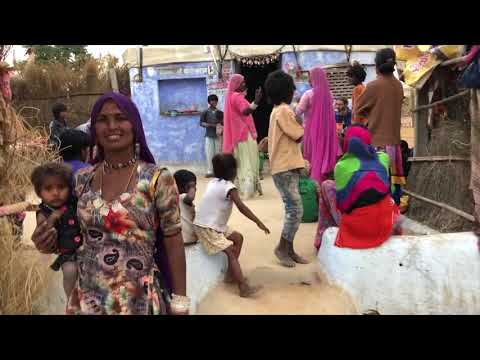 Jamming with the Cobra Gypsies in Pushkar, India