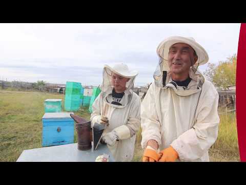 Проект «Сделано в Якутии». Хангаласский мед, или пчелиное царство Петра Федотова