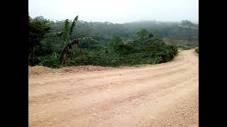 la fortuna las lajas COMAYAGUA HONDURAS