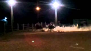 Leggs n Ace cowboy race!!