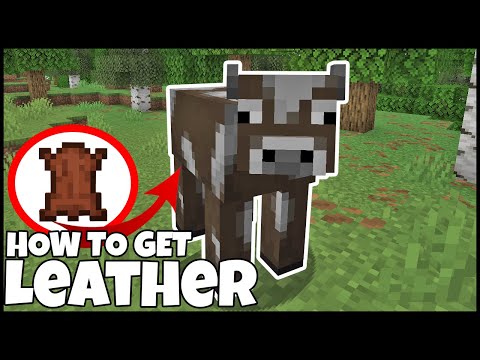 How To Get LEATHER In MINECRAFT